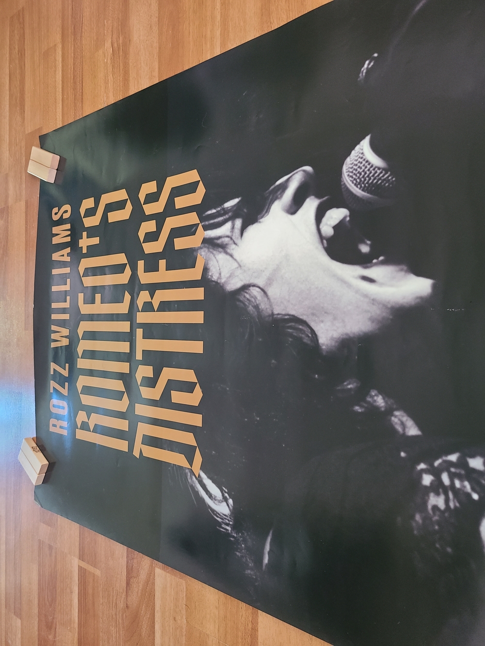 "Romeo's Distress" Rozz Williams Docu Film Poster - Picture 3 of 4